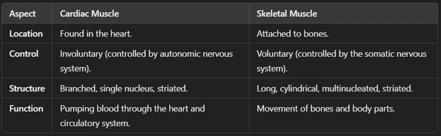 Difference Between Cardiac and Skeletal Muscle (Muscular Tissue)